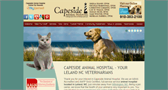 Desktop Screenshot of capesideanimalhospital.com